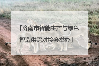 济南市智能生产与绿色智造供需对接会举办